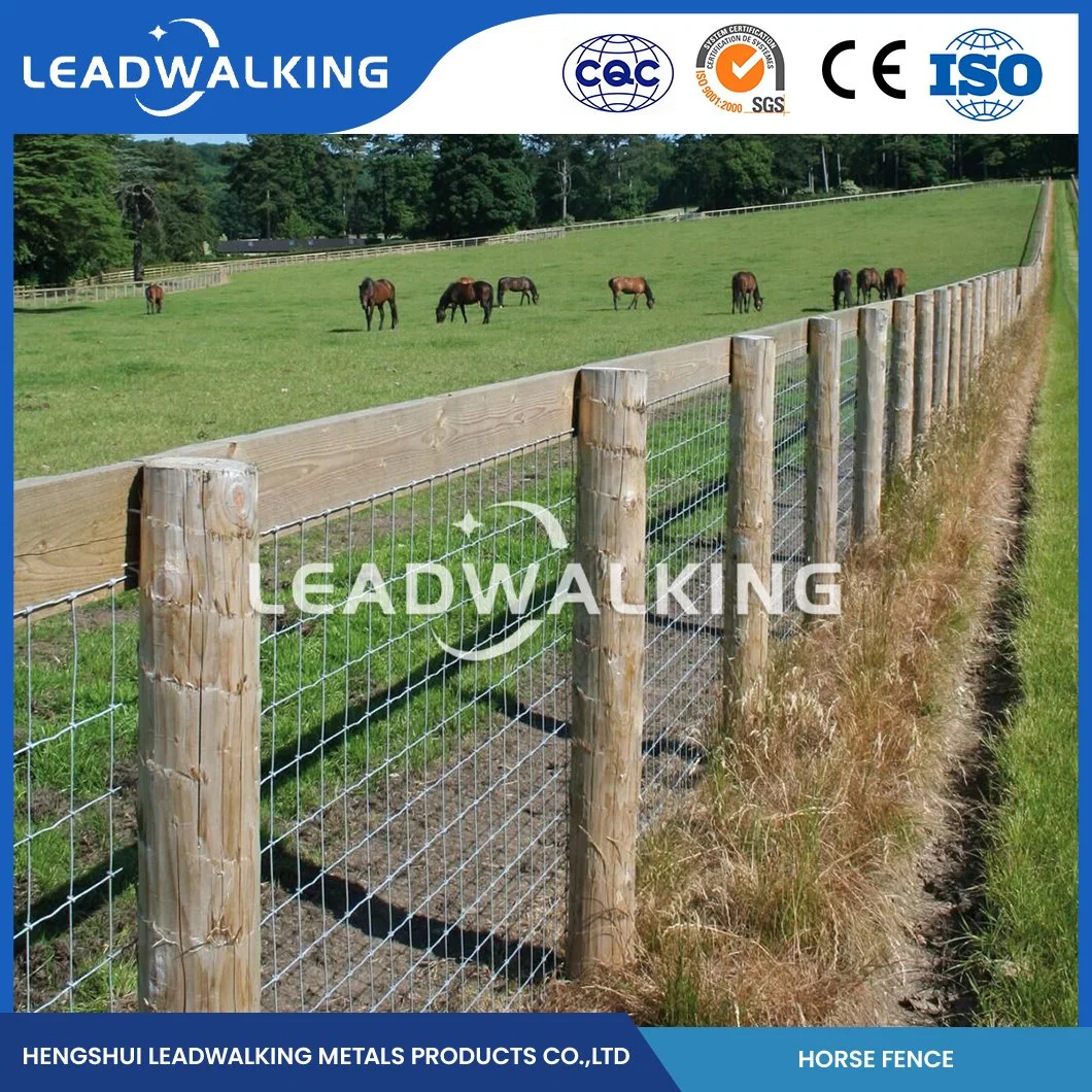 Leadwalking 60X330 Field Fence Sample Available Decorative Cattle Panel Fencing Factory China Novel Structure Horse White PVC Fence Mesh