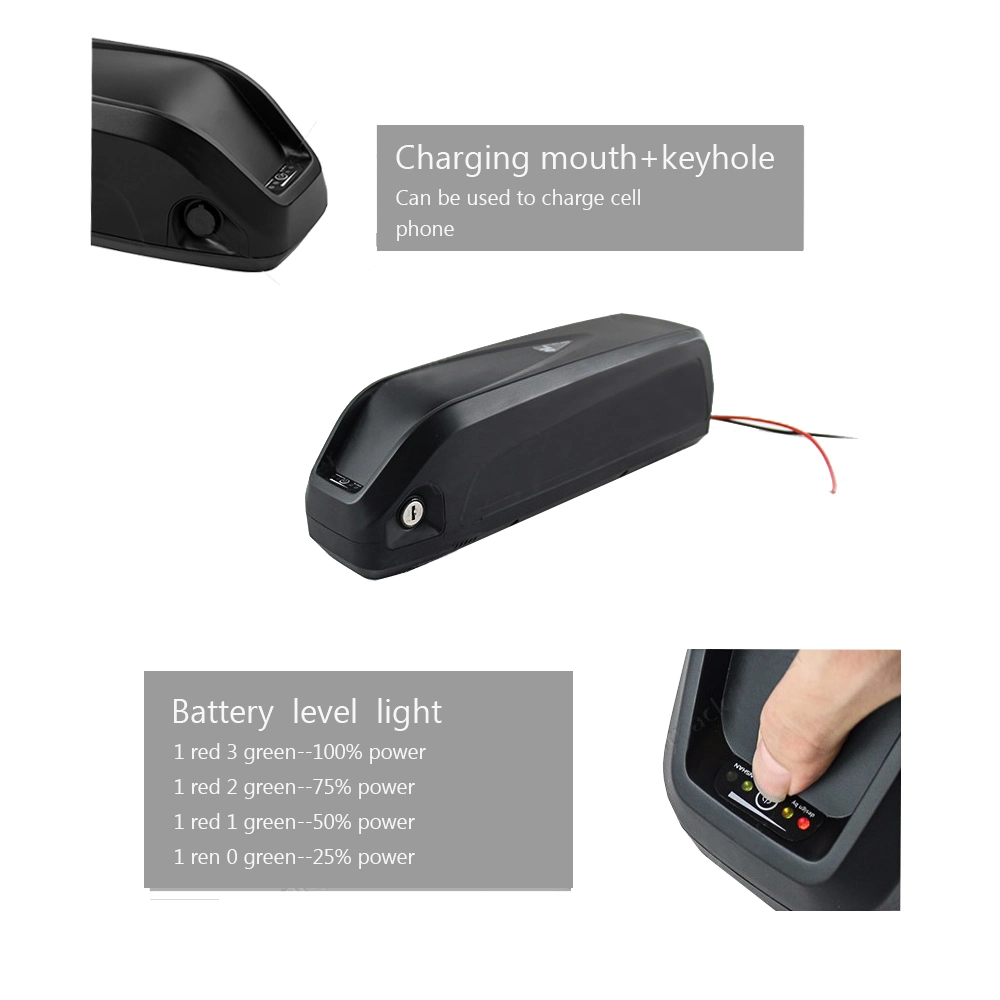 Hailong 48V 11.6A Ebike Battery Pack for Bafang BBS01 02 HD