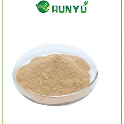 ISO Certification Turkesterone 2% 10% Carpet Bugle Extract Turkesterone Powder