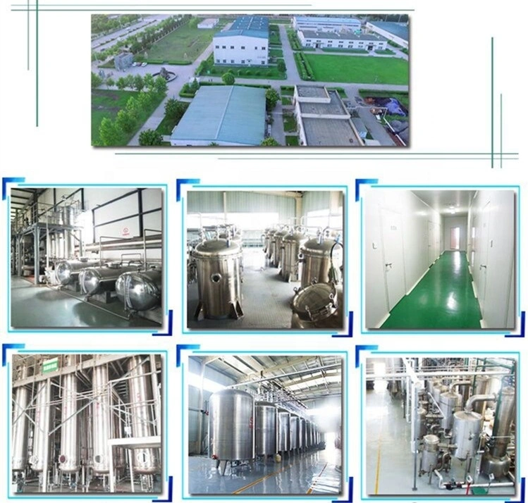 Líquido de alta calidad de jarabe de sorbitol el 70%