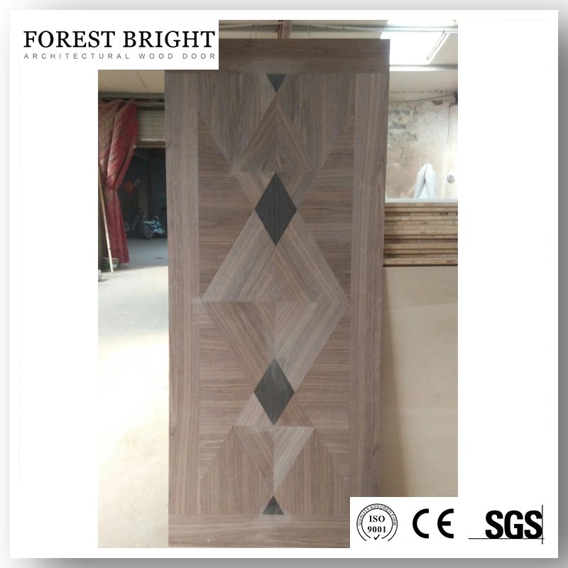 Architectural Flush Wood Door for Apartment