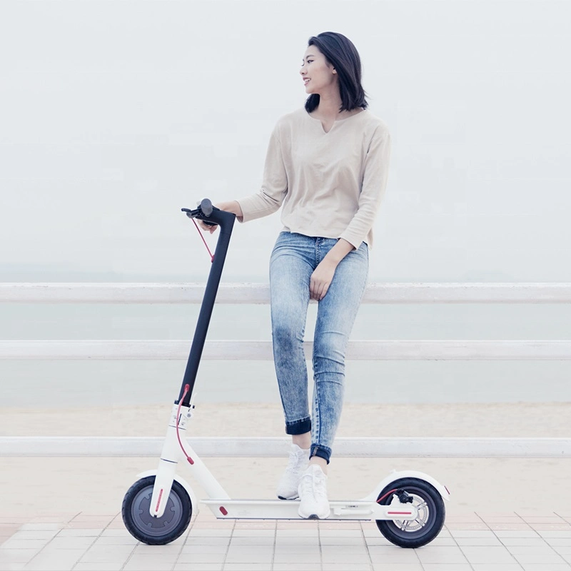 Nouveau coup de pied de haute qualité Scooter deux grosses roues scooter adulte de la ville de Coco de voyage pour la vente