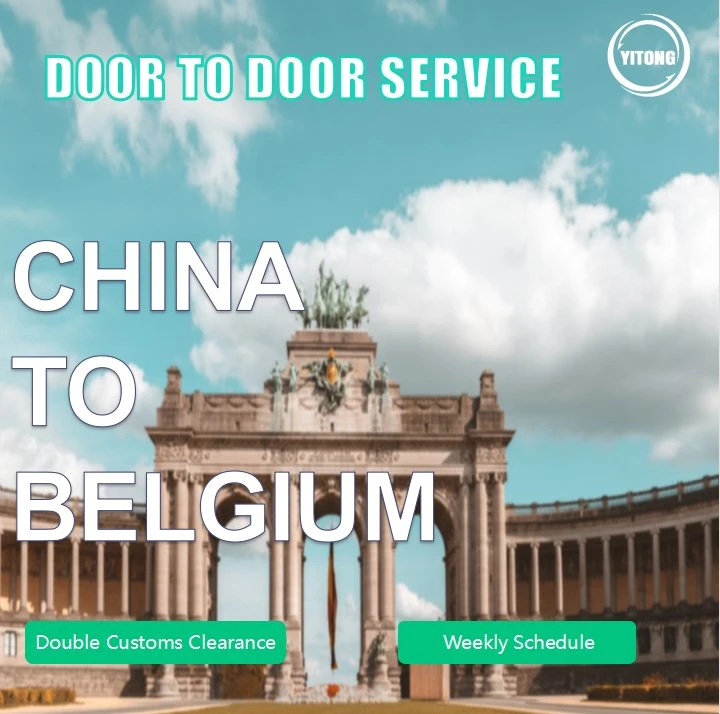 Door to Door DDU DDP LCL Sea Freight From China to Belgium