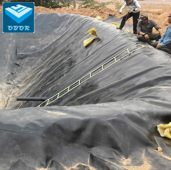 Water-Proof Plastic LDPE/LLDPE/PVC/HDPE Geomembrane for Tank Liner with Factory Cheap Price in&#160; Cambodia