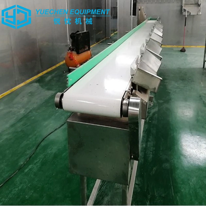 Automatic Belt Conveyor Weighing Sorting Machine Food Grade Grading Machinery