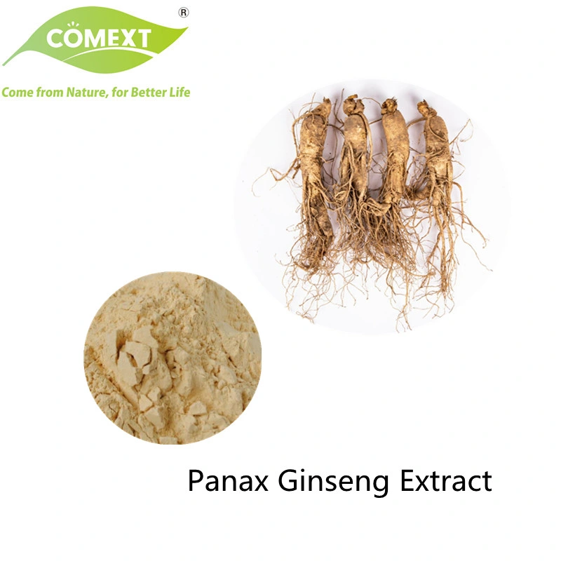 Comext Panax Ginseng Leaf Extract 4%-80% Ginsenoside Healthy High quality/High cost performance  Plant Extract Herbal Extract Natural with Best Price Ginseng Powder