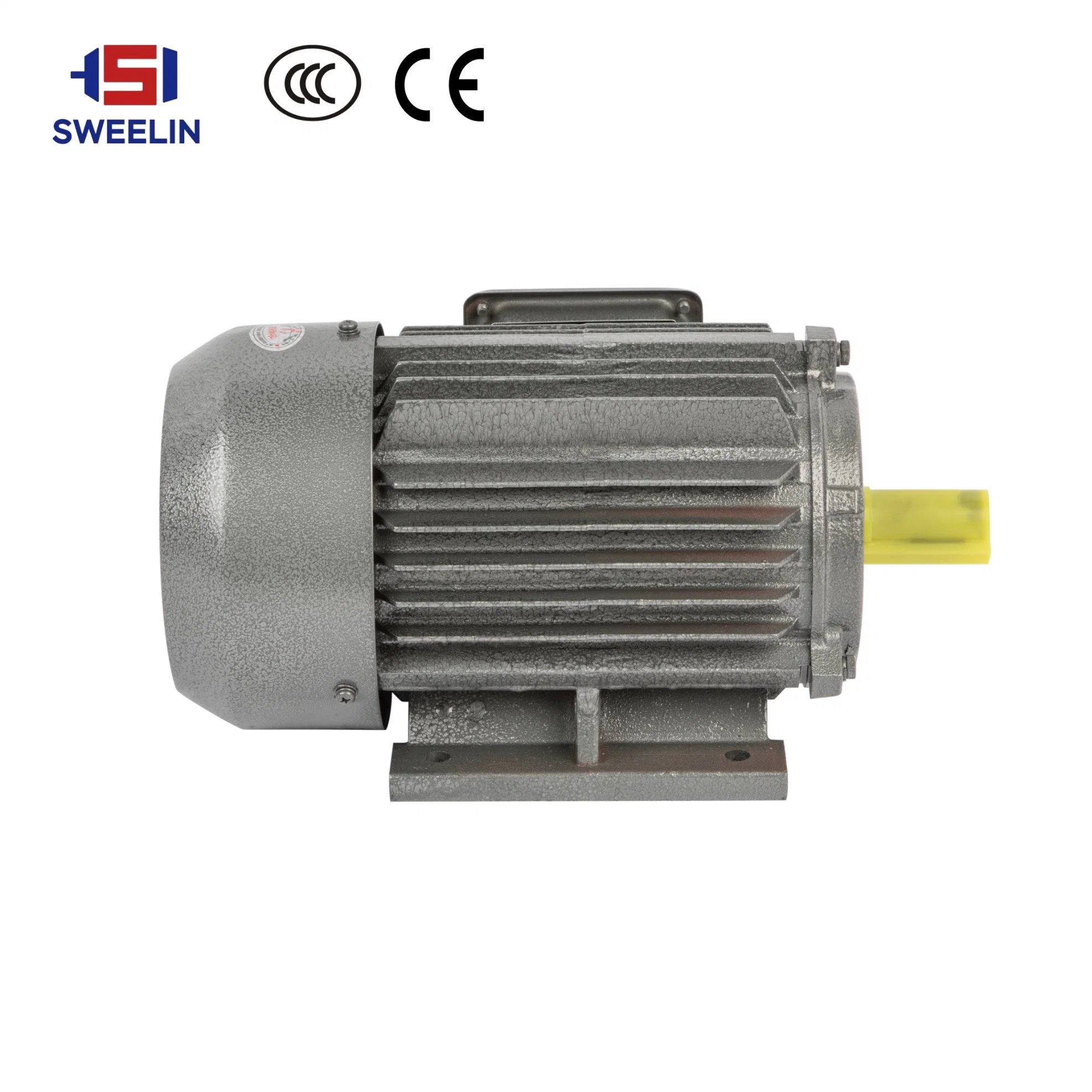 Three-Phase Motor Vacuum Pump Meat Grinder Hydraulic Machine Motor