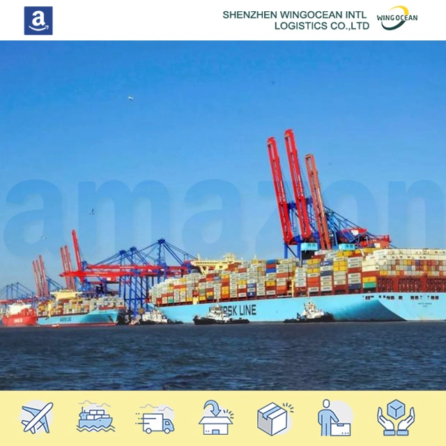 Professionnel excellent International Amazon Sea Freight Provider Service Sea Cargo Expédition au Mexique/Australie