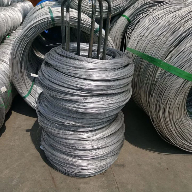 Quality Assured/Factory Sales Champion AISI 304 316 410 430 Stainless Steel Wire