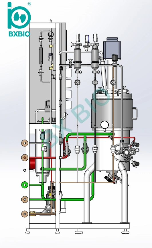 Bxbio 10-10000L Plant Cell Bioreactor with Illumination Function