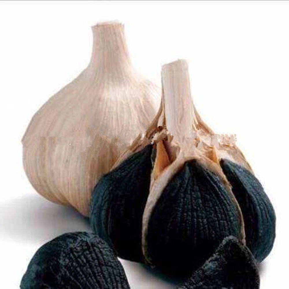 Organic Fermented Whole Bulb Black Garlic Single Clove/Multi-Clove Healthy Food