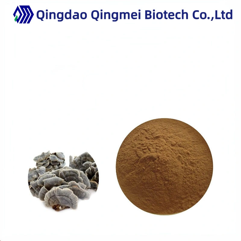 Natural Polysaccharide Yunzhi Mushroom Extract Coriolus Versicolor Extract