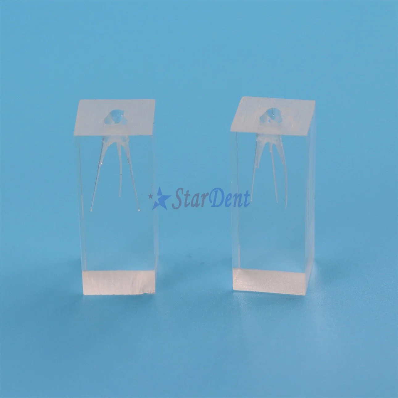 Popular Transparent Resin Endo Training Block 3 Root Canals Model for Teaching Use