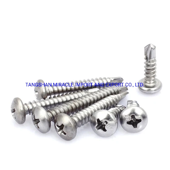 Factory Directly Supply Stainless Steel Self Tapping Screw/Driling Screw/Wood Screw