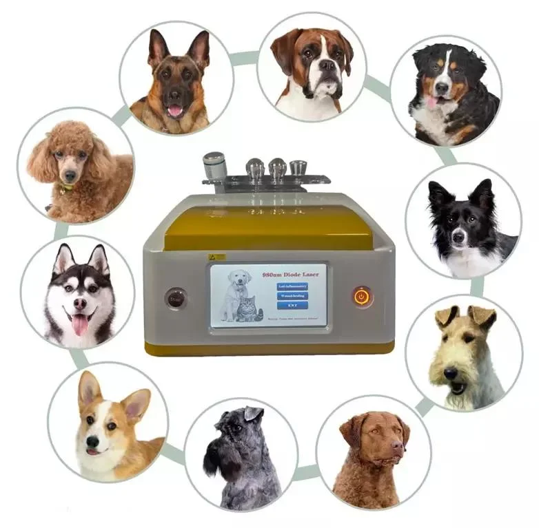 Diode chirurgicale laser laser Animal matériel de physiothérapie pour chevaux, chats, chiens instruments vétérinaires laser vétérinaire