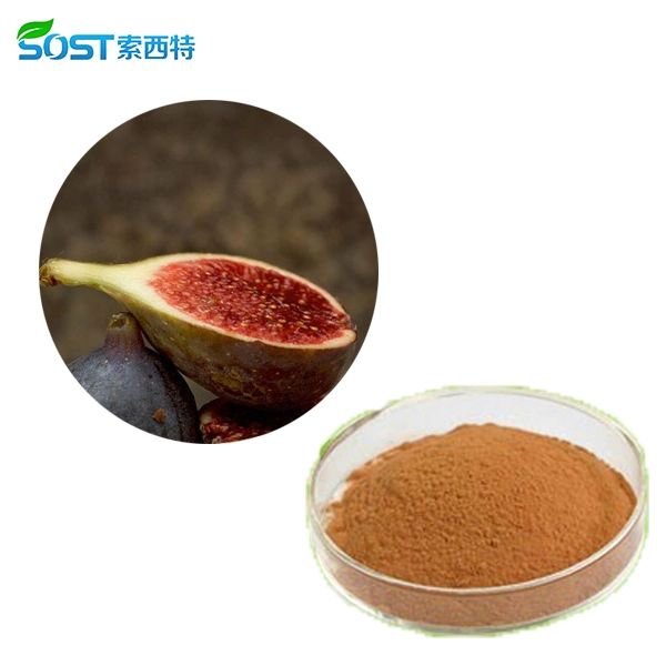 China Fruit Powder Manufacturers Wholesale/Supplier Free Sample Fig Powder