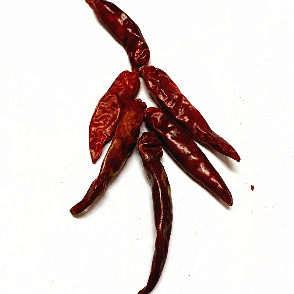 Dehydrated Chilli Whole Factory Price with Best Quality