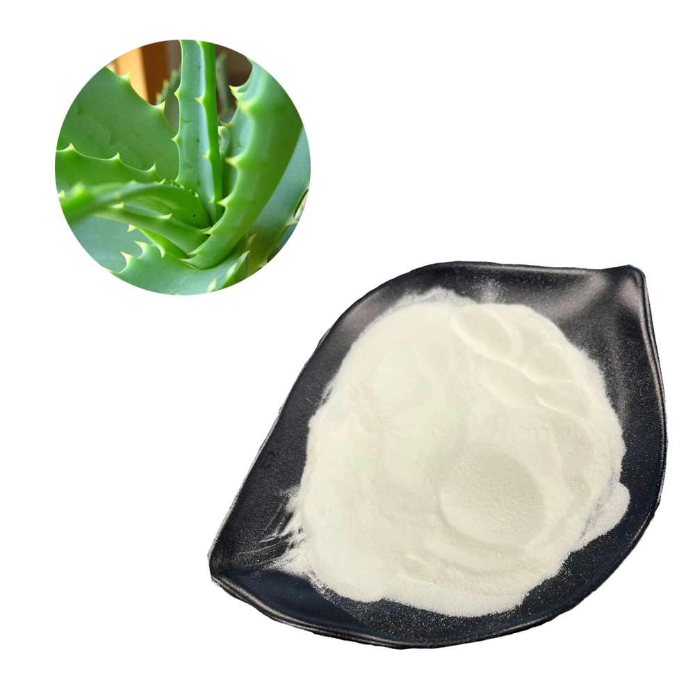 Commerce de gros extrait de feuilles d'Aloe Vera biologique poudre 200-1