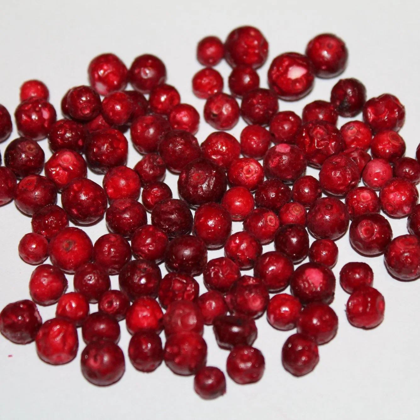 Gefriergetrocknete Liningonberry, Fd Liningonberry, Beeren Aus China