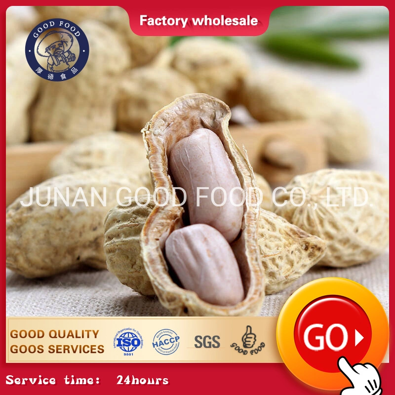 New Varieties of High quality/High cost performance  Raw Peanut Kernels / Roasted Peanuts