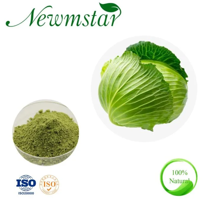 Natural Dehydrated Vegetable Extract Powders Green Cabbage Extract Powder