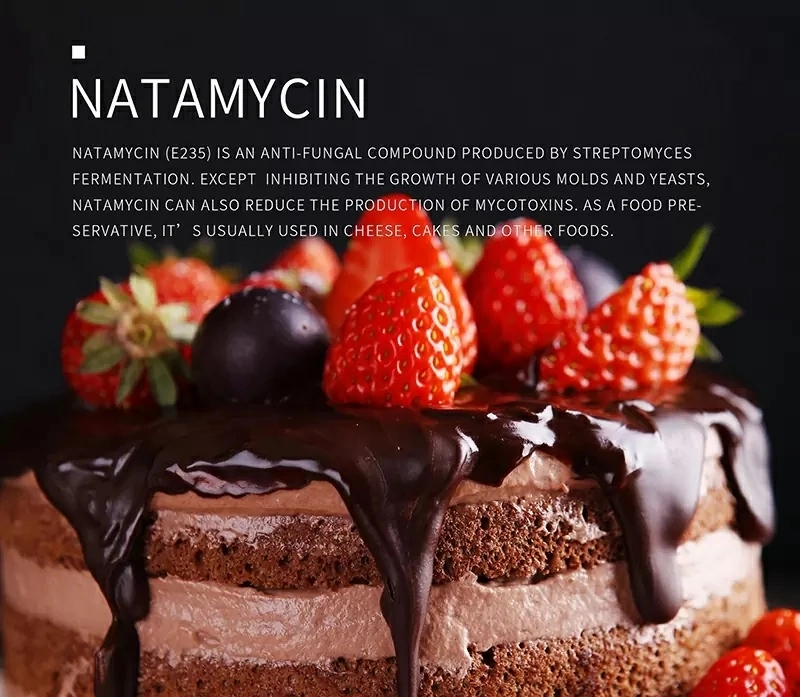 Chinese Manufaturer Powder Medical Natamycin Food Preservatives