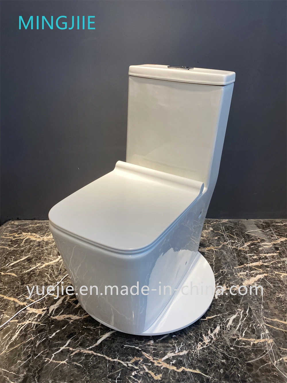 European Style Sanitary Ware Wc Toilets Modern Design Washdown One-Piece Ceramic Toilet