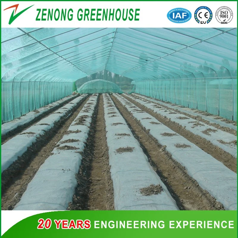 Cherry Greenhouse with Hot Galvanized Steel and Po Film