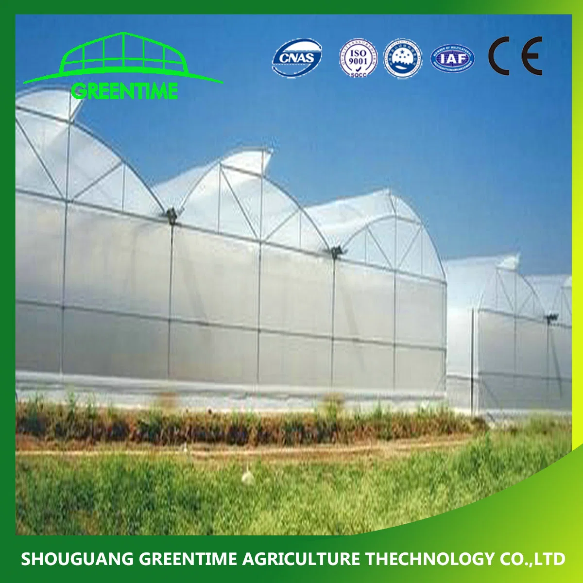 Hot Sale Multi-Span PE/PE Plastic Film Agricultural Greenhouse for Tomato/ Lettuce Planting