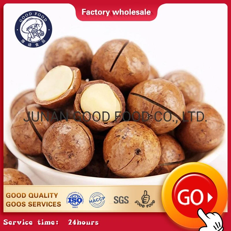 Raw Organic Macadamia Nuts and 100% Natural Raw Macadamia Nuts in Shell