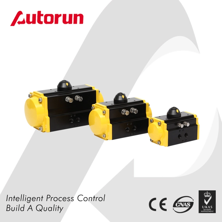 Chinese Wenzhou Manufacturer Rt Quarter Turn Pneumatic Actuator