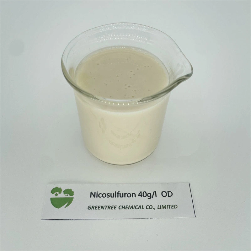 CAS 111991-09-4 agroquímicos herbicida nicosulfuron 40 G/L OD