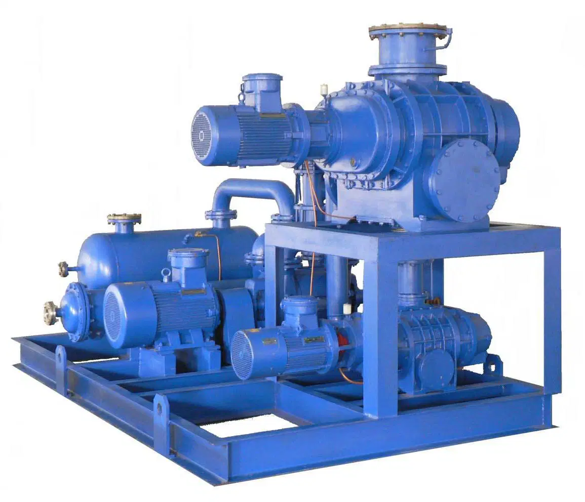 Customized Energy Saving High Pumping Rate Roots Vacuum Pump Set