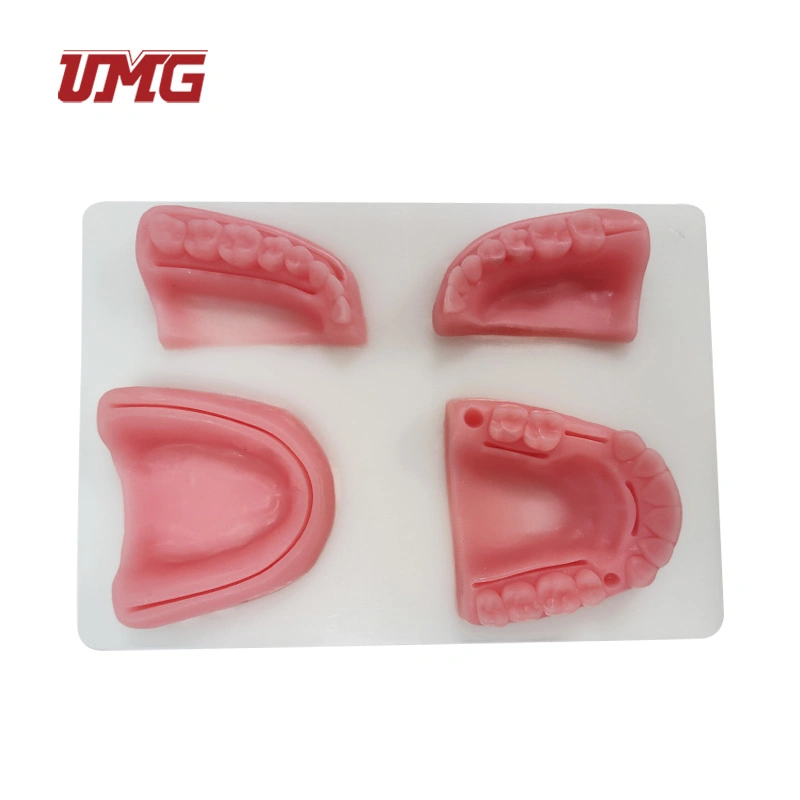 Medical Training Dentist Suture Pad Practice Dental Suturing and Implants