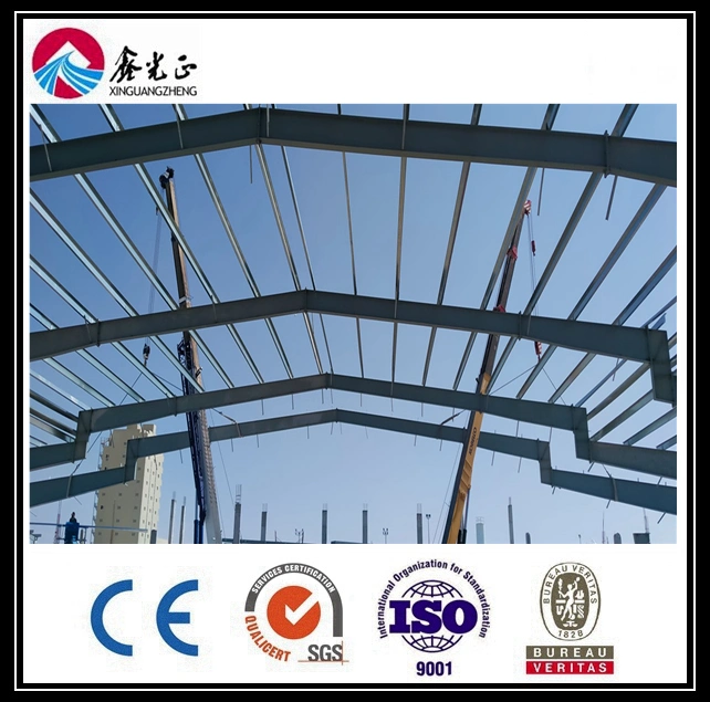 Frontal Frame / Steel Frame / Steel Structure/Marie Fender (BYSS-104)