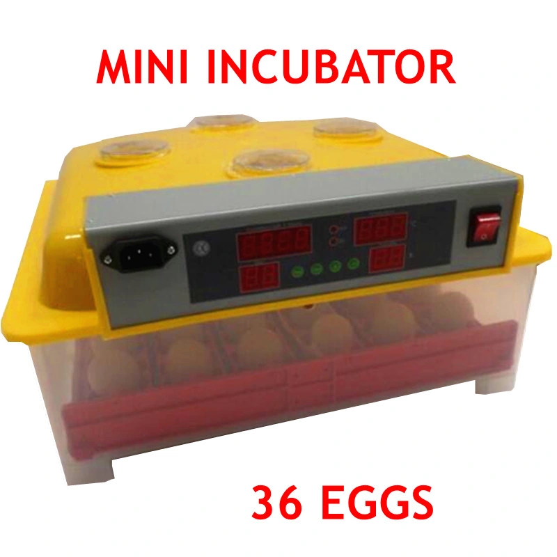 2020 Hottest Automatic Small Chicken Egg Incubator (KP-36)