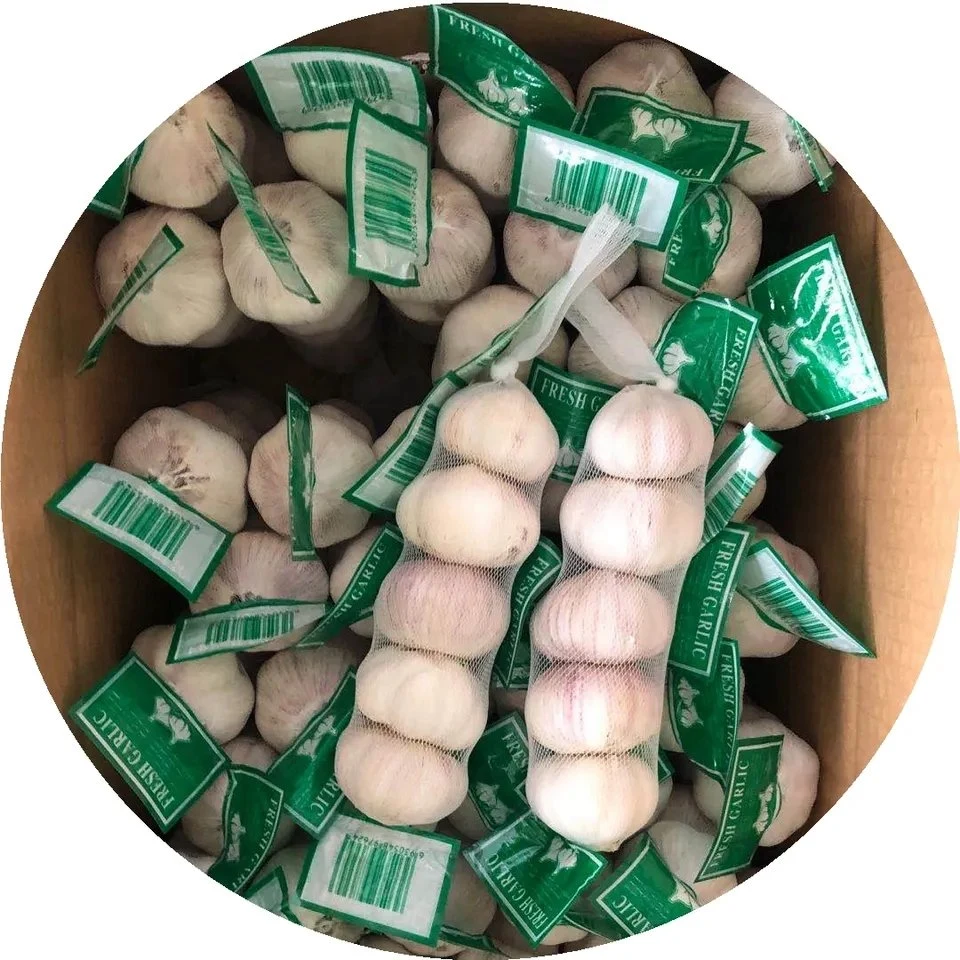 New Wholesale/Supplier Jiangsu Good Price Export Solo Pure Peeled Fresh Dried Normal/Super White Dehydrated Garlic