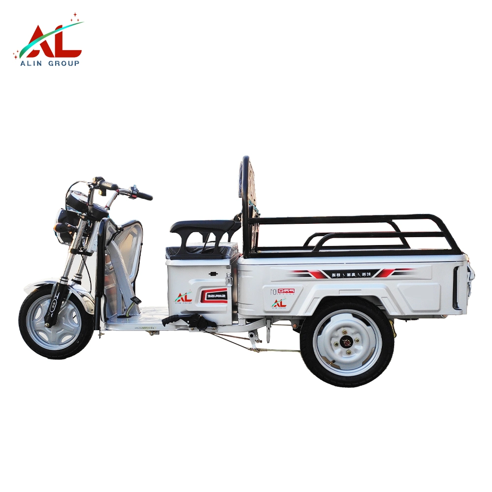 Mini Electric Cargo Tricycle Small Cargo Trike