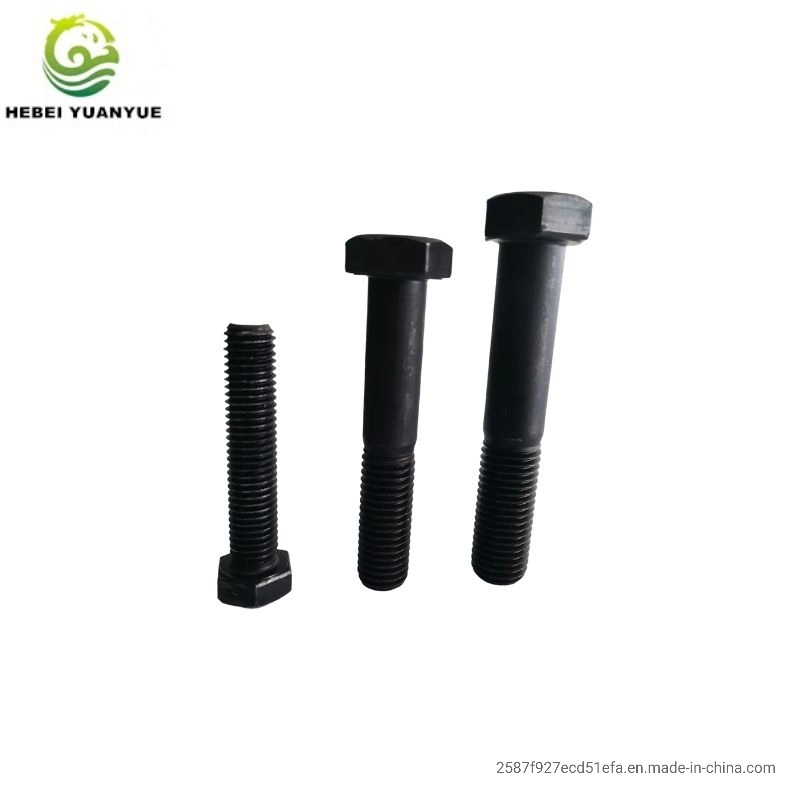 DIN934 Stainless Steel Heavy Hex Head Bolt and Nut