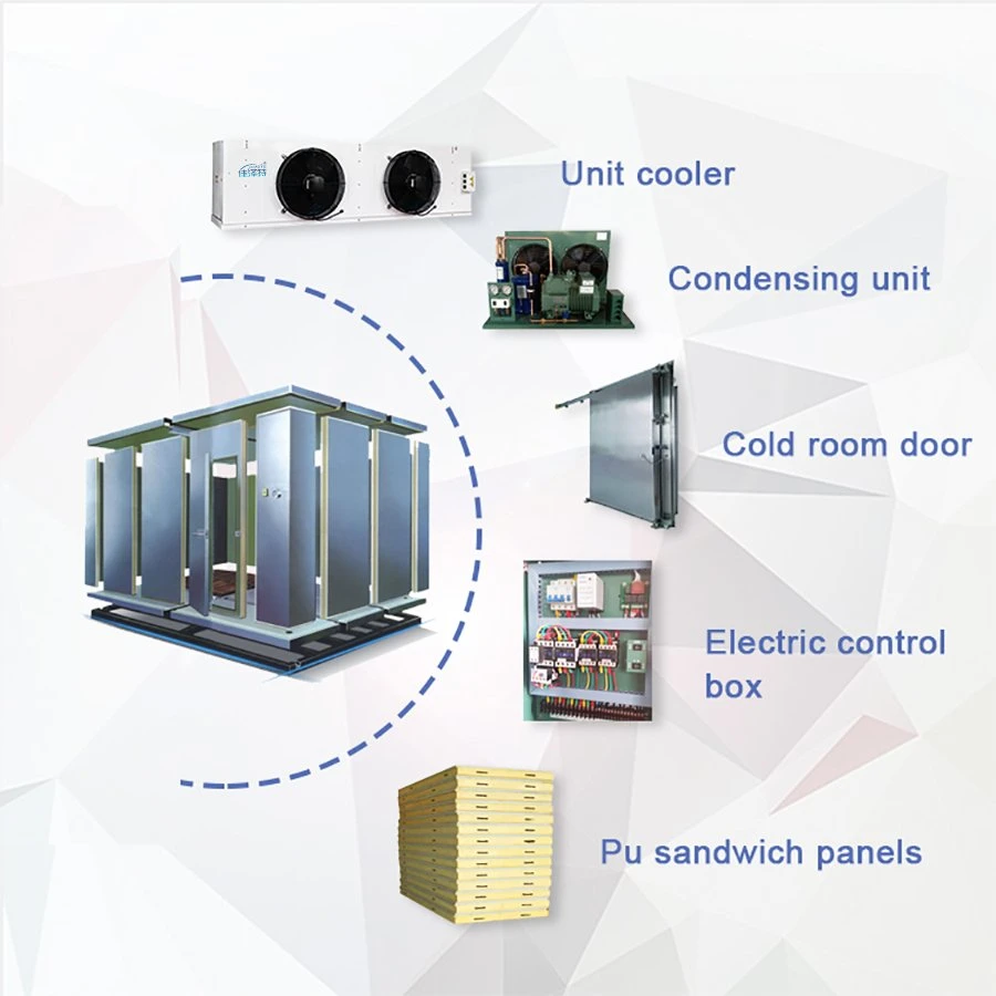 Armazenamento a baixas temperaturas Câmara de congelação Industrial Besta refrigeração da Sala Fria Congelador de entrada com controlo da humidade