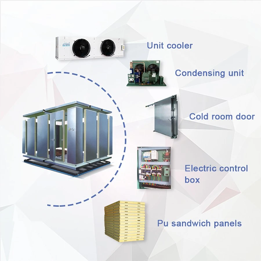 Almacenamiento a baja temperatura Industria Cámara de congelación explosión refrigeración de sala fría Congelador de control de humedad