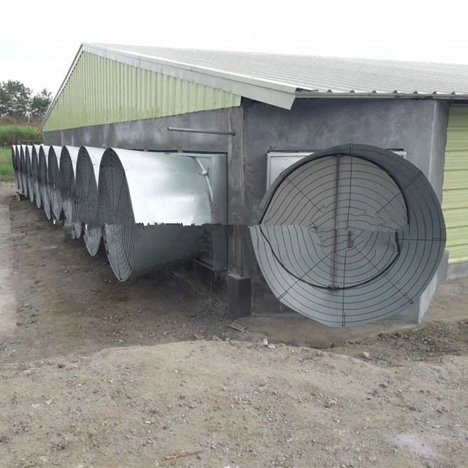 Original Factory Supply Modern Automatic Farm Chicken Farm for Sale Poultry House