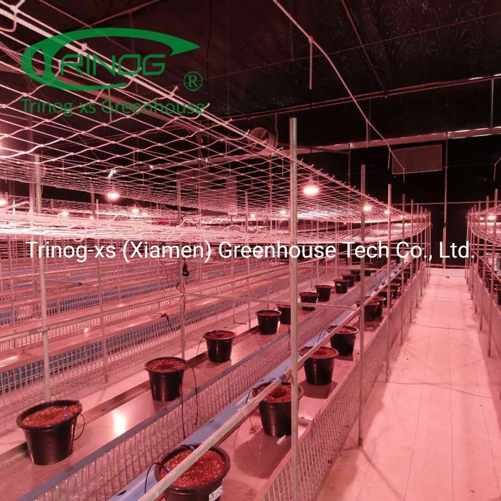 Trinog multispan agrícolas película plástica de plantas medicinais estufa com a privação de luz do sistema de sombreamento