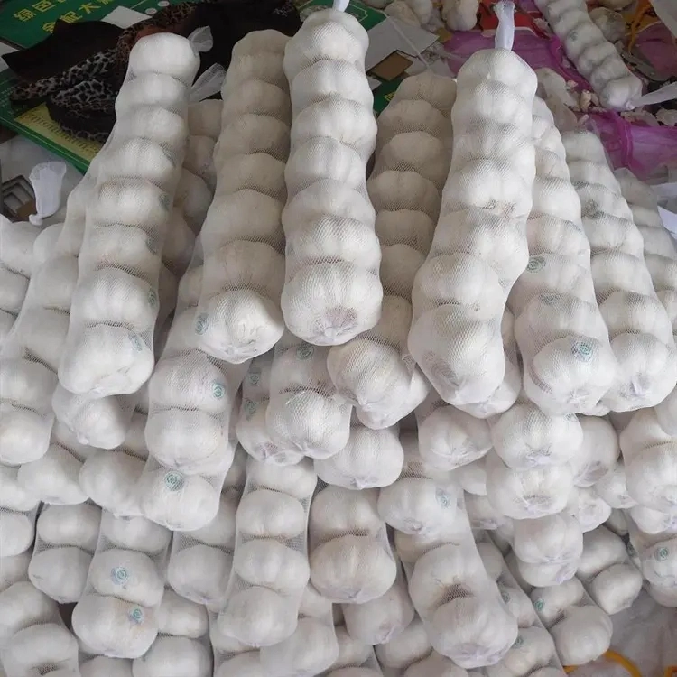 Wholesale/Supplier Garlic Normal White Fresh Garlic with Competitive Price Importers From Chinese Direct Factory