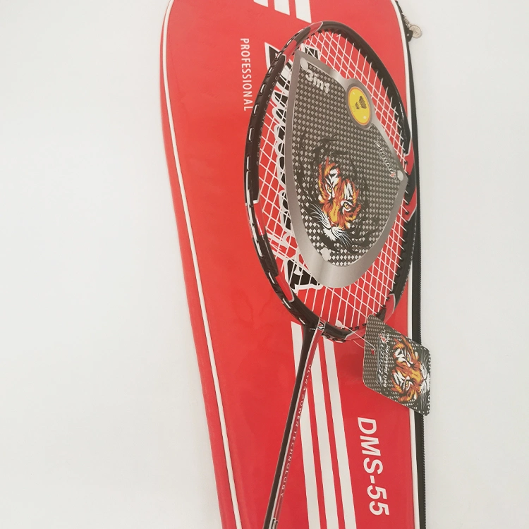 Badminton Rackets with Pair of Two Rackets Dmantis DMS55 Set