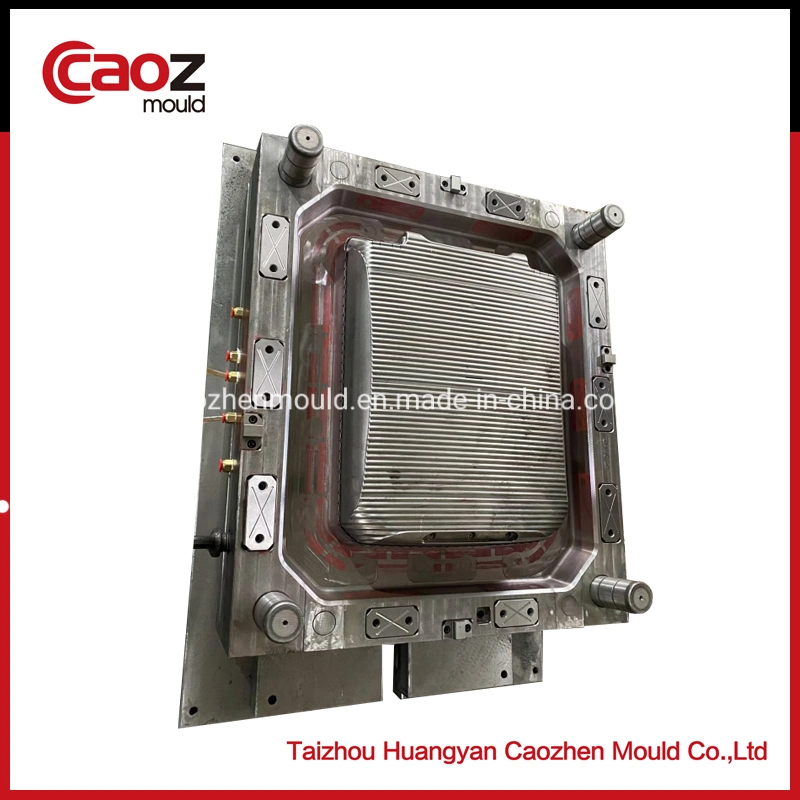 Plastic Suit Box/Luggage Injection Mould with Good Price