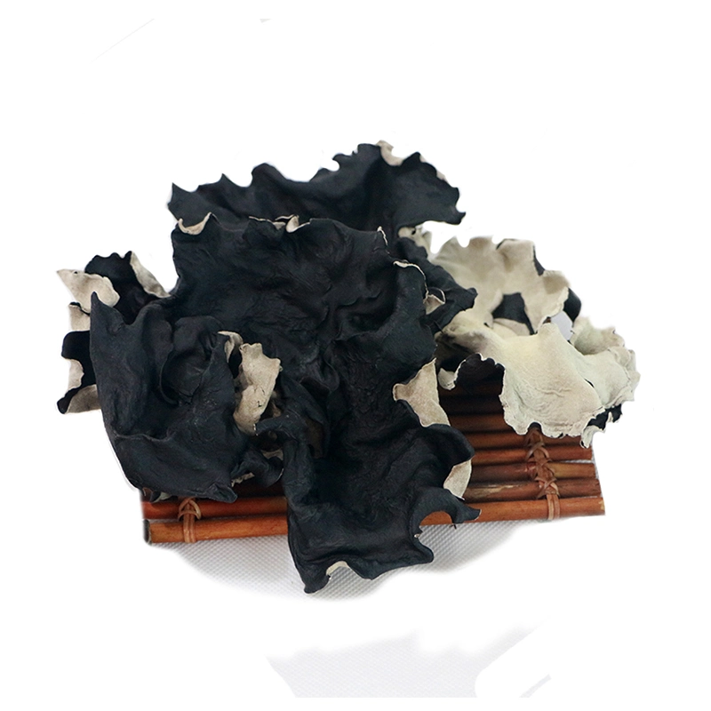 Wholesale/Supplier Premium Edible Big Black Fungus with White Back