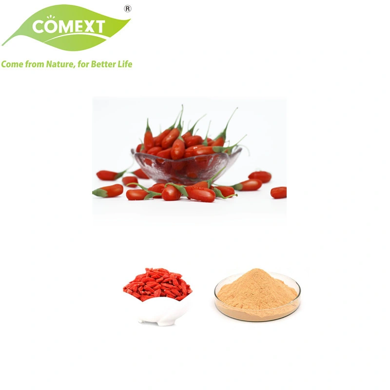 Comext Bulk Improve Immunity Reduce Blood Sugar Wolfberry Fruit Natural Freeze Dried Lycium Goji Berry Extract