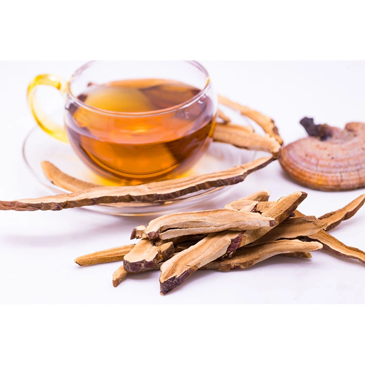 بيع ساخنة Lingzhi Mushroom Herbal Tea Ganoderma Lucidum Extract Reishi مسحوق استخراج الفطر