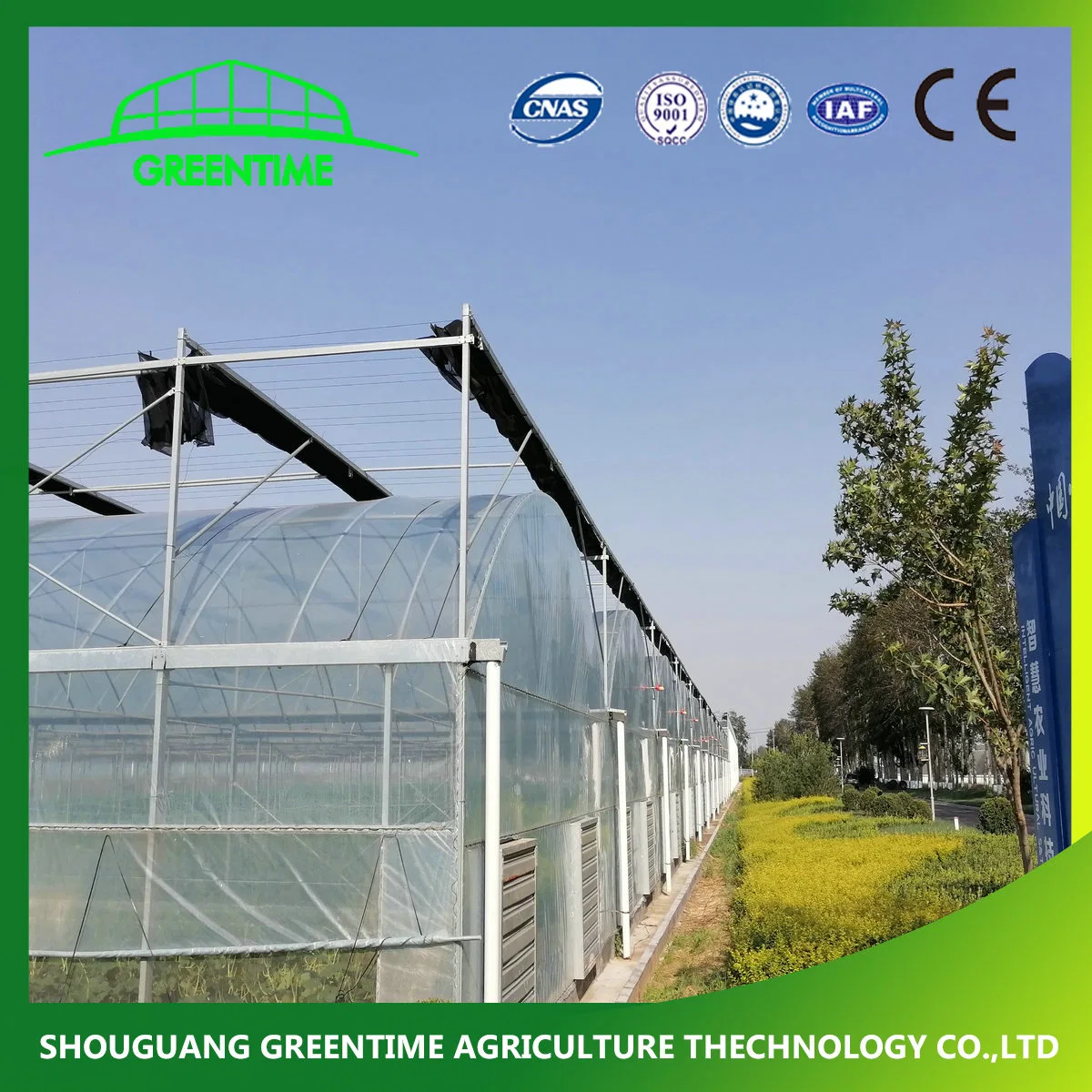 Hot Sale Multi-Span PE/PE Plastic Film Agricultural Greenhouse for Tomato/ Lettuce Planting